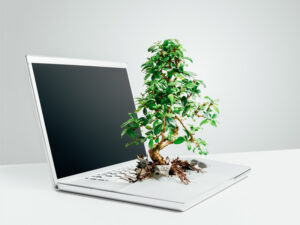 bonsai tree growing out of a laptop to illustrate sustainable grown from a managed IT services strategic input